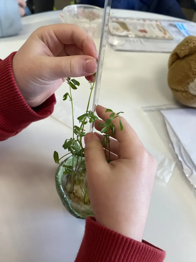 Montessori International Schools - Our Plant Journey