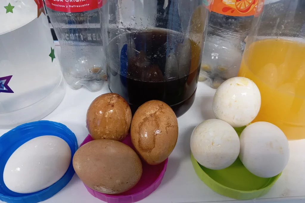 Montessori - Dental Hygiene