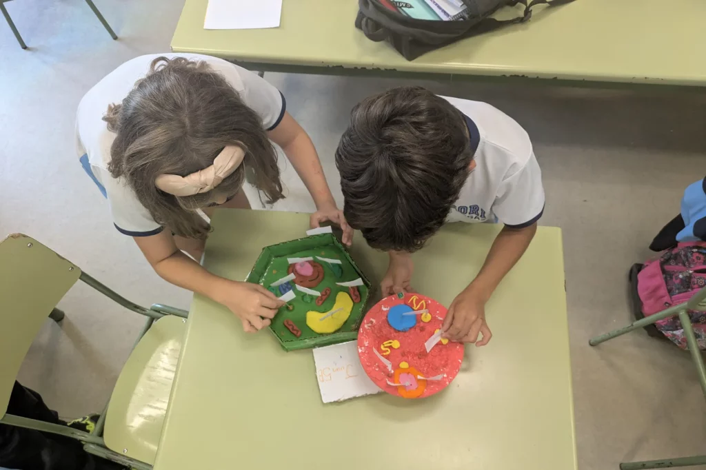 Montessori - Las células