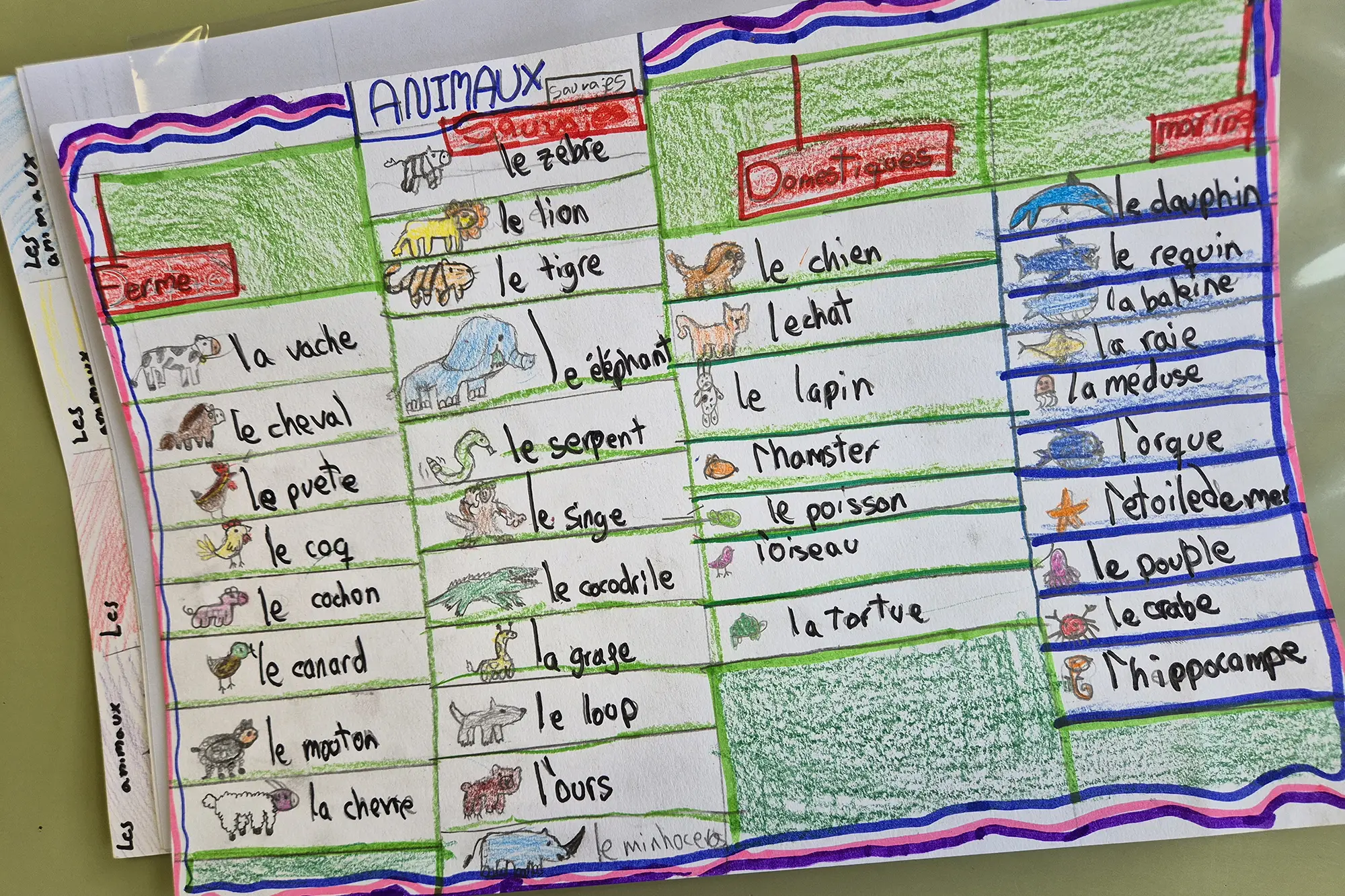 FRANÇAIS : PROJET ANIMAUX