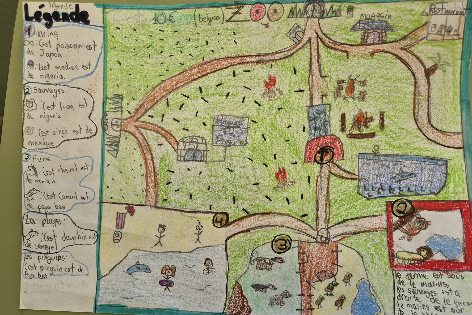 Montessori - À la découverte du zoo