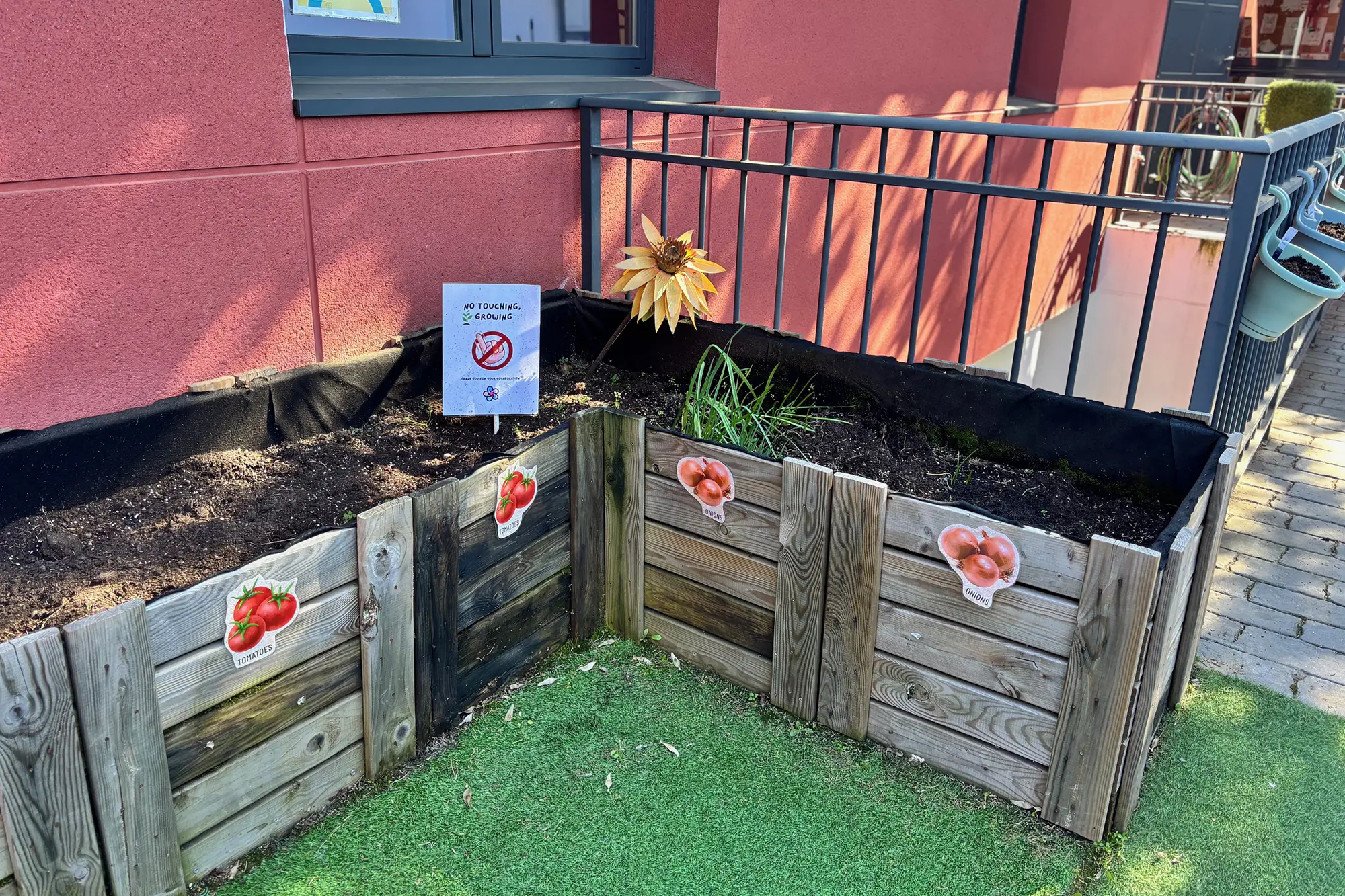 Montessori - Huerto y jardín