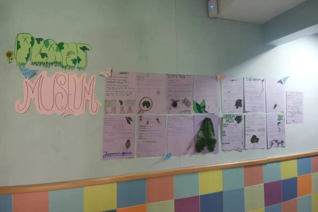 Montessori - Museo de Plantas